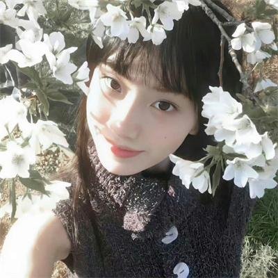 舞伶艳史